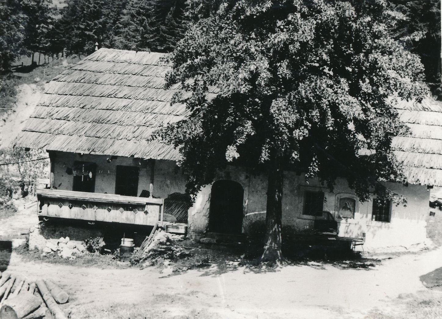 eika image